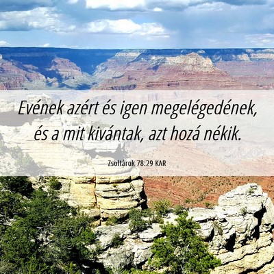 Picture 06 - Zsoltárok 78:29 KAR - Evének azért és igen megelégedének, és a - Bible Verse Picture