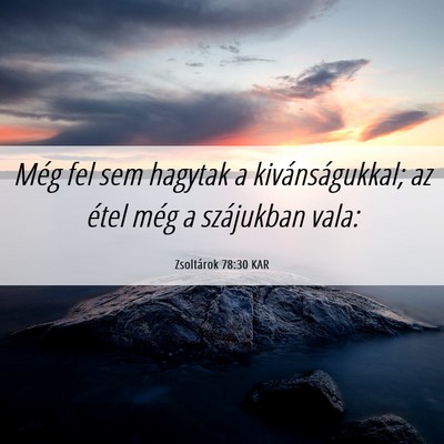 Picture 06 - Zsoltárok 78:30 KAR - Még fel sem hagytak a kivánságukkal; az étel - Bible Verse Picture