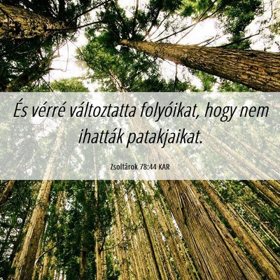 Picture 06 - Zsoltárok 78:44 KAR - És vérré változtatta folyóikat, hogy nem - Bible Verse Picture