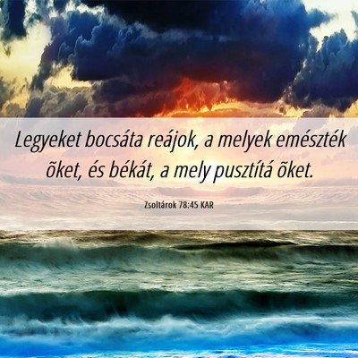 Picture 06 - Zsoltárok 78:45 KAR - Legyeket bocsáta reájok, a melyek emészték - Bible Verse Picture