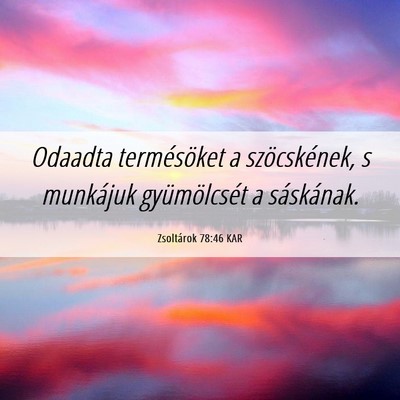 Picture 06 - Zsoltárok 78:46 KAR - Odaadta termésöket a szöcskének, s munkájuk - Bible Verse Picture