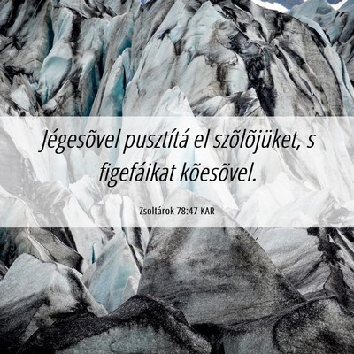 Picture 06 - Zsoltárok 78:47 KAR - Jégesõvel pusztítá el szõlõjüket, s - Bible Verse Picture