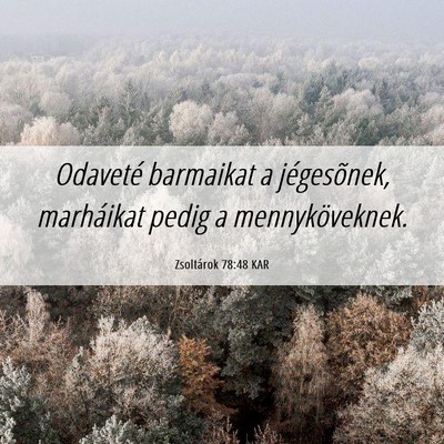 Picture 06 - Zsoltárok 78:48 KAR - Odaveté barmaikat a jégesõnek, marháikat - Bible Verse Picture