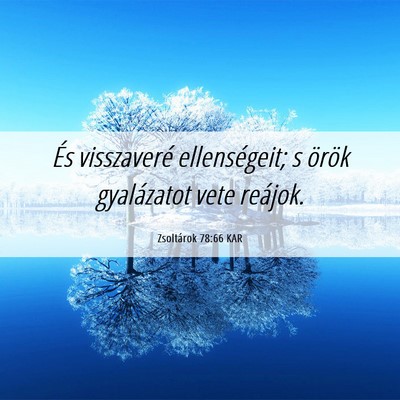 Picture 06 - Zsoltárok 78:66 KAR - És visszaveré ellenségeit; s örök - Bible Verse Picture