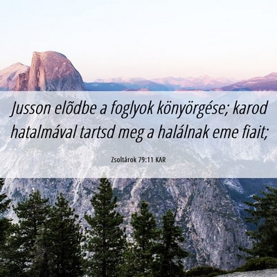 Picture 06 - Zsoltárok 79:11 KAR - Jusson elõdbe a foglyok könyörgése; karod - Bible Verse Picture