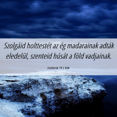 Picture 06 - Zsoltárok 79:2 KAR - Szolgáid holttestét az ég madarainak adták - Bible Verse Picture