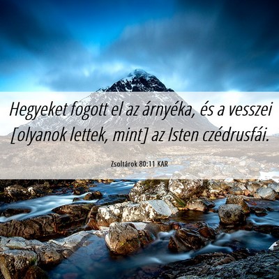 Picture 06 - Zsoltárok 80:11 KAR - Hegyeket fogott el az árnyéka, és a vesszei - Bible Verse Picture