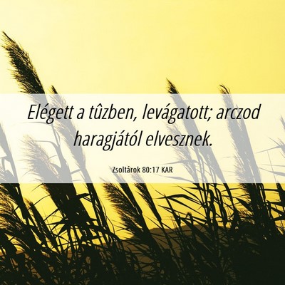 Picture 06 - Zsoltárok 80:17 KAR - Elégett a tûzben, levágatott; arczod - Bible Verse Picture