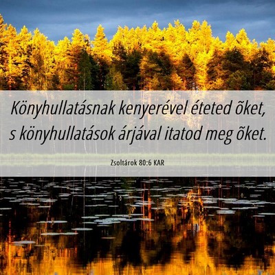 Picture 06 - Zsoltárok 80:6 KAR - Könyhullatásnak kenyerével éteted õket, s - Bible Verse Picture