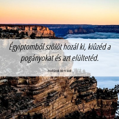 Picture 06 - Zsoltárok 80:9 KAR - Égyiptomból szõlõt hozál ki, kiûzéd a - Bible Verse Picture