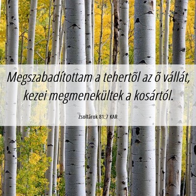 Picture 06 - Zsoltárok 81:7 KAR - Megszabadítottam a tehertõl az õ vállát, - Bible Verse Picture