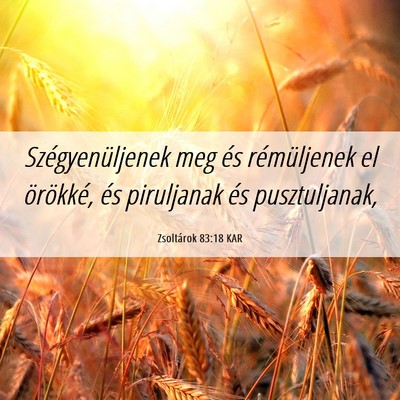 Picture 06 - Zsoltárok 83:18 KAR - Szégyenüljenek meg és rémüljenek el - Bible Verse Picture