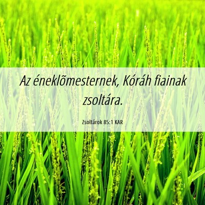 Picture 06 - Zsoltárok 85:1 KAR - Az éneklõmesternek, Kóráh fiainak - Bible Verse Picture