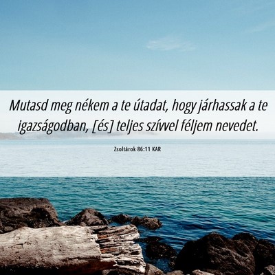 Picture 06 - Zsoltárok 86:11 KAR - Mutasd meg nékem a te útadat, hogy járhassak a - Bible Verse Picture