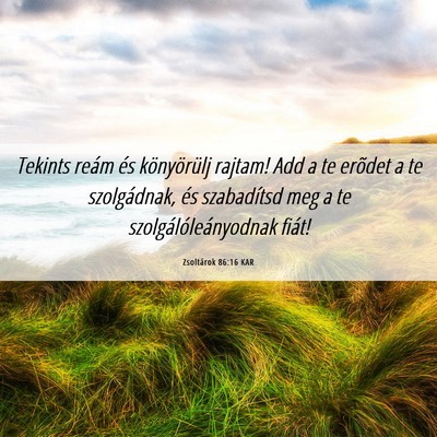 Picture 06 - Zsoltárok 86:16 KAR - Tekints reám és könyörülj rajtam! Add a te - Bible Verse Picture