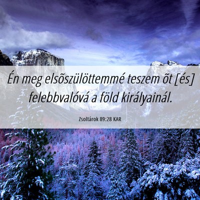 Picture 06 - Zsoltárok 89:28 KAR - Én meg elsõszülöttemmé teszem õt [és] - Bible Verse Picture