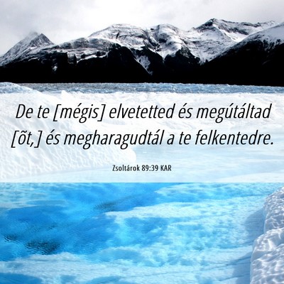 Picture 06 - Zsoltárok 89:39 KAR - De te [mégis] elvetetted és megútáltad [õt,] - Bible Verse Picture
