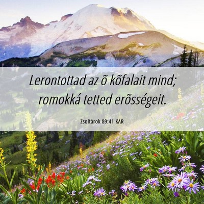 Picture 06 - Zsoltárok 89:41 KAR - Lerontottad az õ kõfalait mind; romokká tetted - Bible Verse Picture