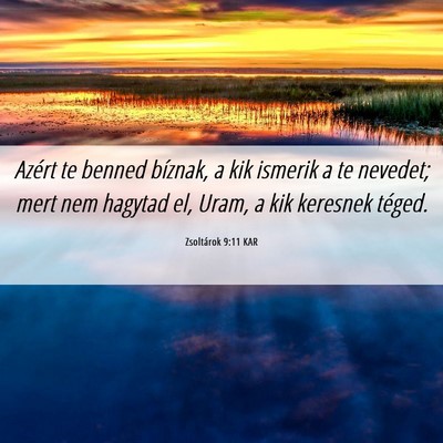 Picture 06 - Zsoltárok 9:11 KAR - Azért te benned bíznak, a kik ismerik a te - Bible Verse Picture