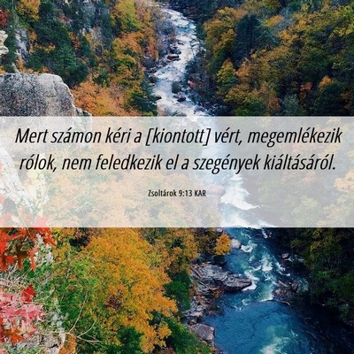 Picture 06 - Zsoltárok 9:13 KAR - Mert számon kéri a [kiontott] vért, - Bible Verse Picture
