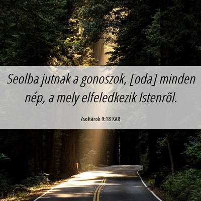 Picture 06 - Zsoltárok 9:18 KAR - Seolba jutnak a gonoszok, [oda] minden nép, a - Bible Verse Picture