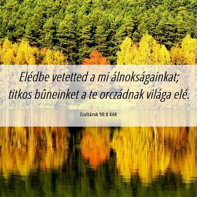 Picture 06 - Zsoltárok 90:8 KAR - Elédbe vetetted a mi álnokságainkat; titkos - Bible Verse Picture