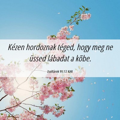 Picture 06 - Zsoltárok 91:12 KAR - Kézen hordoznak téged, hogy meg ne üssed - Bible Verse Picture