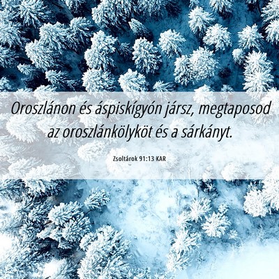 Picture 06 - Zsoltárok 91:13 KAR - Oroszlánon és áspiskígyón jársz, megtaposod - Bible Verse Picture