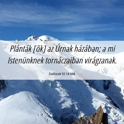Picture 06 - Zsoltárok 92:14 KAR - Plánták [õk] az Úrnak házában; a mi - Bible Verse Picture
