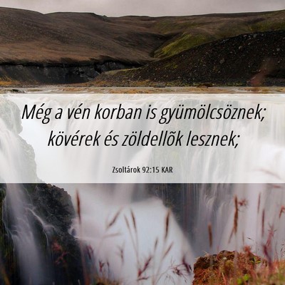 Picture 06 - Zsoltárok 92:15 KAR - Még a vén korban is gyümölcsöznek; kövérek - Bible Verse Picture