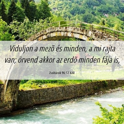 Picture 06 - Zsoltárok 96:12 KAR - Viduljon a mezõ és minden, a mi rajta van; - Bible Verse Picture