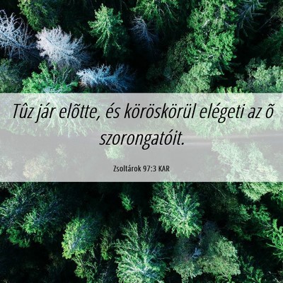 Picture 06 - Zsoltárok 97:3 KAR - Tûz jár elõtte, és köröskörül elégeti az - Bible Verse Picture