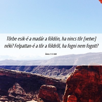 Picture 06 - Ámos 3:5 KAR - Tõrbe esik-é a madár a földön, ha nincs tõr - Bible Verse Picture