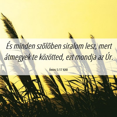 Picture 06 - Ámos 5:17 KAR - És minden szõlõben siralom lesz, mert - Bible Verse Picture