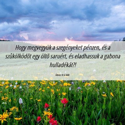 Picture 06 - Ámos 8:6 KAR - Hogy megvegyük a szegényeket pénzen, és a - Bible Verse Picture