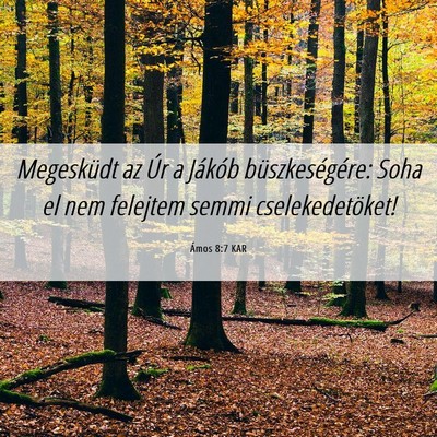 Picture 06 - Ámos 8:7 KAR - Megesküdt az Úr a Jákób büszkeségére: Soha - Bible Verse Picture