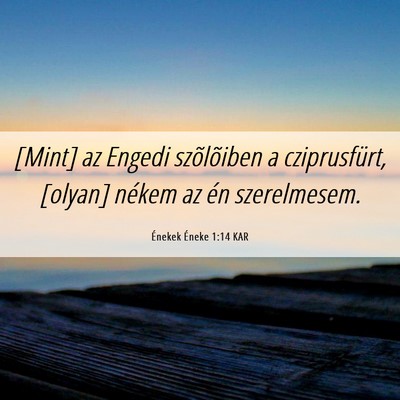 Picture 06 - Énekek Éneke 1:14 KAR - [Mint] az Engedi szõlõiben a cziprusfürt, - Bible Verse Picture