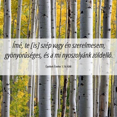 Picture 06 - Énekek Éneke 1:16 KAR - Ímé, te [is] szép vagy én szerelmesem, - Bible Verse Picture