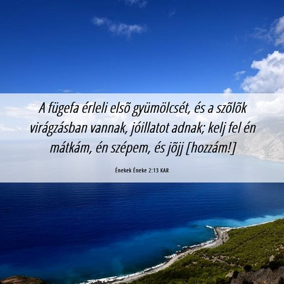 Picture 06 - Énekek Éneke 2:13 KAR - A fügefa érleli elsõ gyümölcsét, és a - Bible Verse Picture