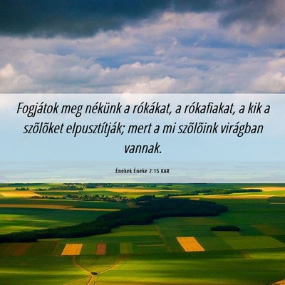 Picture 06 - Énekek Éneke 2:15 KAR - Fogjátok meg nékünk a rókákat, a - Bible Verse Picture