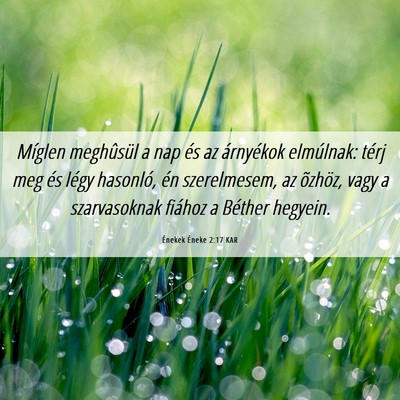 Picture 06 - Énekek Éneke 2:17 KAR - Míglen meghûsül a nap és az árnyékok - Bible Verse Picture