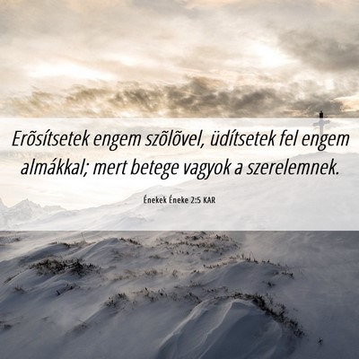 Picture 06 - Énekek Éneke 2:5 KAR - Erõsítsetek engem szõlõvel, üdítsetek fel - Bible Verse Picture
