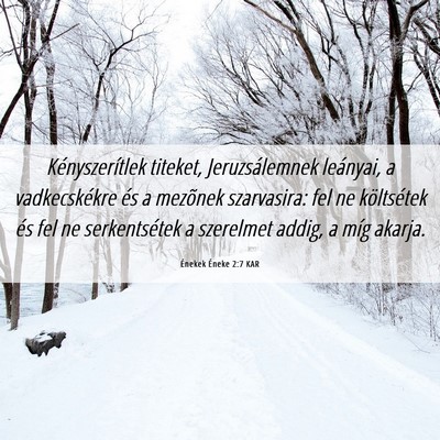 Picture 06 - Énekek Éneke 2:7 KAR - Kényszerítlek titeket, Jeruzsálemnek leányai, - Bible Verse Picture