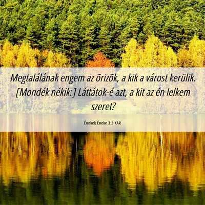 Picture 06 - Énekek Éneke 3:3 KAR - Megtalálának engem az õrizõk, a kik a várost - Bible Verse Picture
