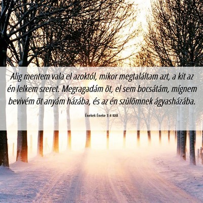Picture 06 - Énekek Éneke 3:4 KAR - Alig mentem vala el azoktól, mikor megtaláltam - Bible Verse Picture