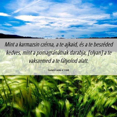 Picture 06 - Énekek Éneke 4:3 KAR - Mint a karmazsin czérna, a te ajkaid, és a te - Bible Verse Picture