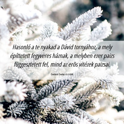 Picture 06 - Énekek Éneke 4:4 KAR - Hasonló a te nyakad a Dávid tornyához, a mely - Bible Verse Picture
