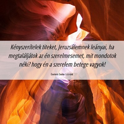 Picture 06 - Énekek Éneke 5:8 KAR - Kényszerítelek titeket, Jeruzsálemnek - Bible Verse Picture