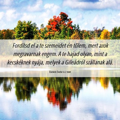Picture 06 - Énekek Éneke 6:2 KAR - Fordítsd el a te szemeidet én tõlem, mert azok - Bible Verse Picture
