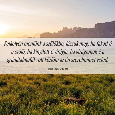 Picture 06 - Énekek Éneke 7:12 KAR - Felkelvén menjünk a szõlõkbe, lássuk meg, ha - Bible Verse Picture